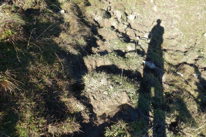 Lochgehrenkopf - Lochgehrenspitze - Sulzspitze - Strindschartenkopf - Litnisschrofen - Krinnenspitze - Nesselwngle