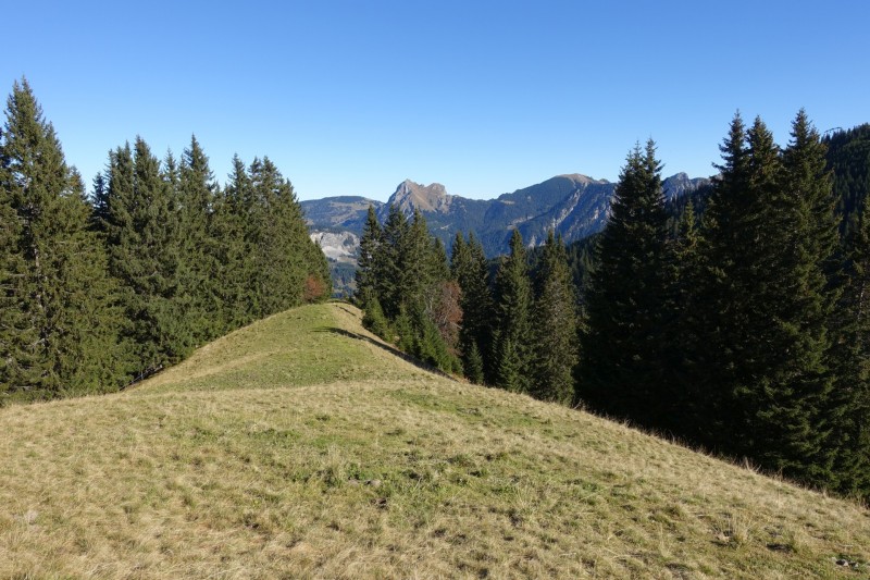 Lochgehrenkopf - Lochgehrenspitze - Sulzspitze - Strindschartenkopf - Litnisschrofen - Krinnenspitze - Nesselwngle