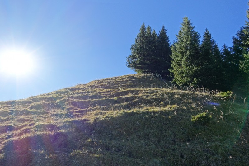 Lochgehrenkopf - Lochgehrenspitze - Sulzspitze - Strindschartenkopf - Litnisschrofen - Krinnenspitze - Nesselwngle