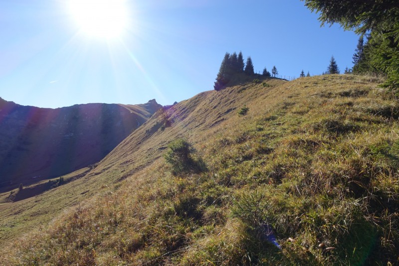 Lochgehrenkopf - Lochgehrenspitze - Sulzspitze - Strindschartenkopf - Litnisschrofen - Krinnenspitze - Nesselwngle