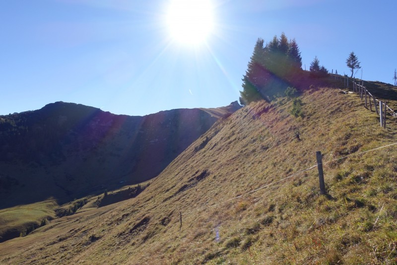 Lochgehrenkopf - Lochgehrenspitze - Sulzspitze - Strindschartenkopf - Litnisschrofen - Krinnenspitze - Nesselwngle