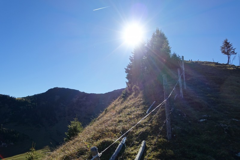 Lochgehrenkopf - Lochgehrenspitze - Sulzspitze - Strindschartenkopf - Litnisschrofen - Krinnenspitze - Nesselwngle