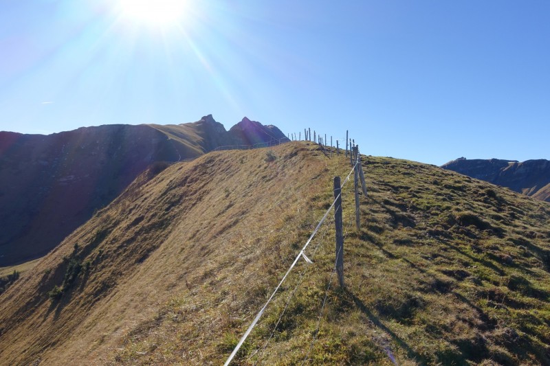 Lochgehrenkopf - Lochgehrenspitze - Sulzspitze - Strindschartenkopf - Litnisschrofen - Krinnenspitze - Nesselwngle