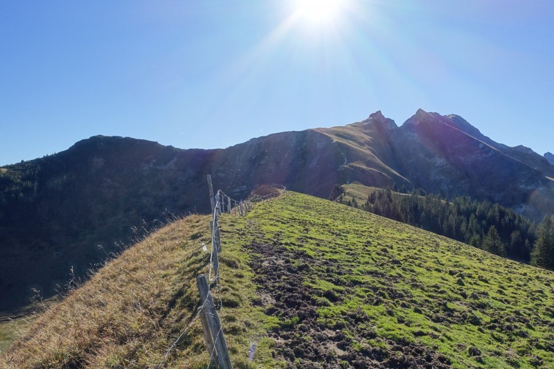 Lochgehrenkopf - Lochgehrenspitze - Sulzspitze - Strindschartenkopf - Litnisschrofen - Krinnenspitze - Nesselwngle