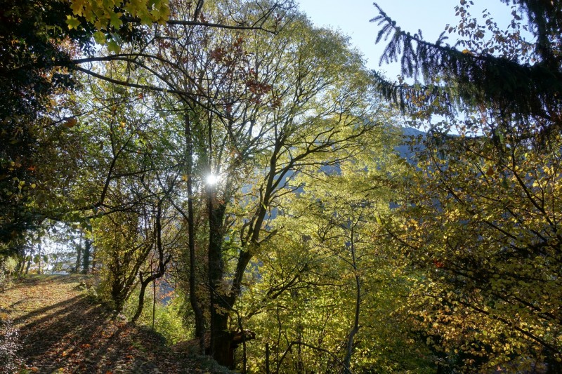 Biacesa di Ledro - Rochetta Giochello - Biacesa di Ledro