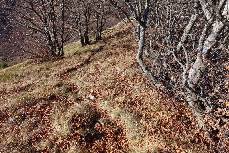 Biacesa di Ledro - Rochetta Giochello - Biacesa di Ledro