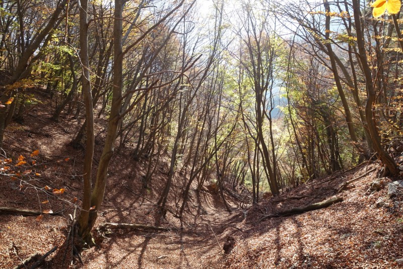 Biacesa di Ledro - Rochetta Giochello - Biacesa di Ledro