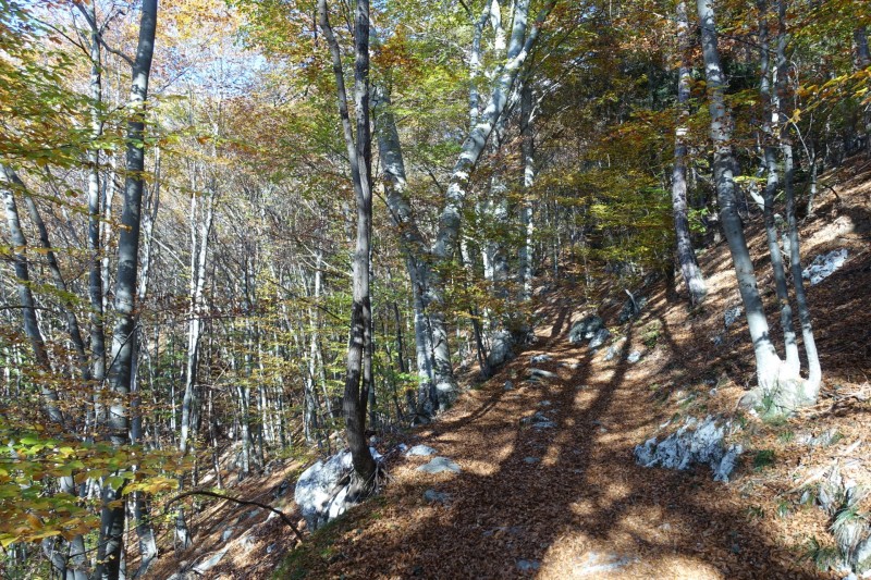Biacesa di Ledro - Rochetta Giochello - Biacesa di Ledro