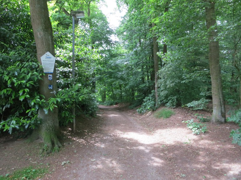 Birgeler Urwald
