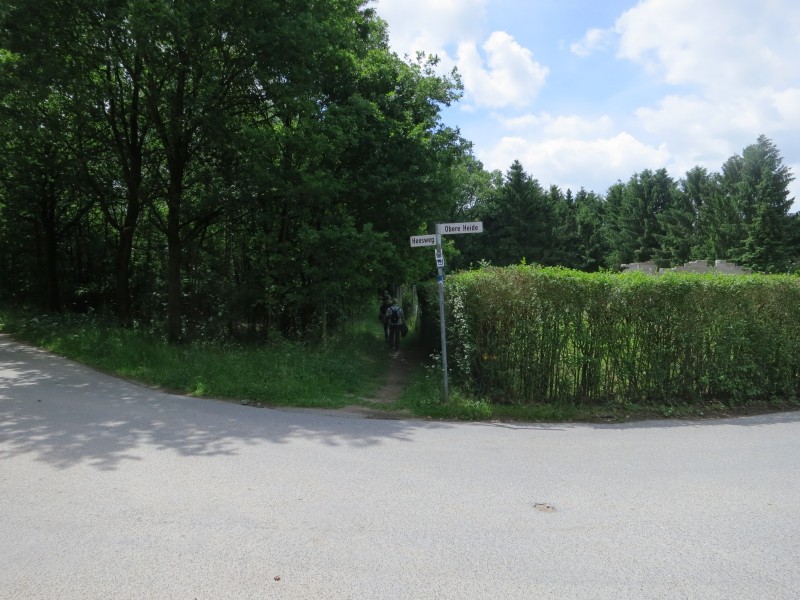 Birgeler Urwald