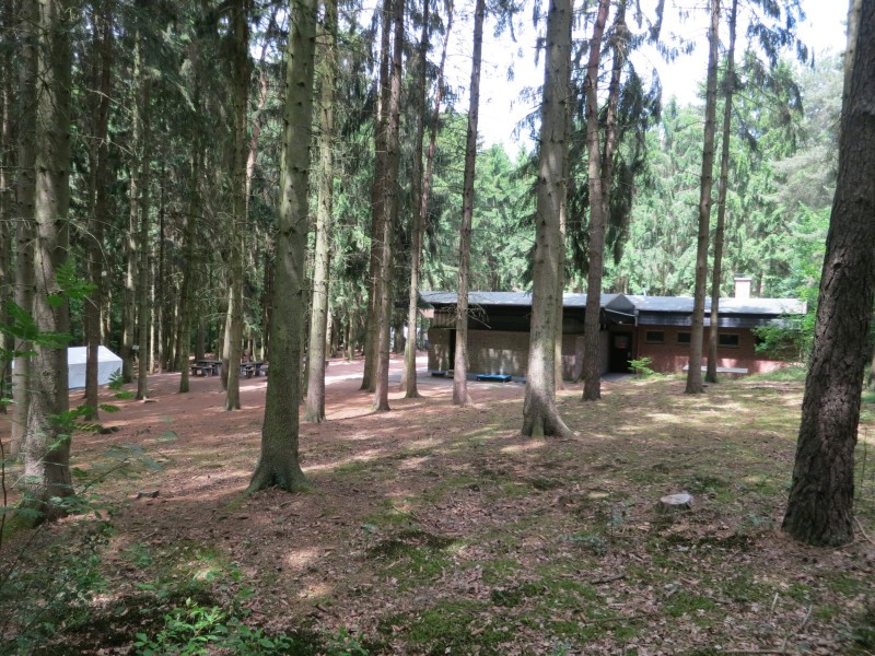 Birgeler Urwald
