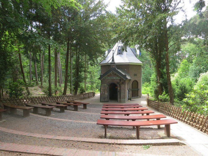Birgeler Urwald