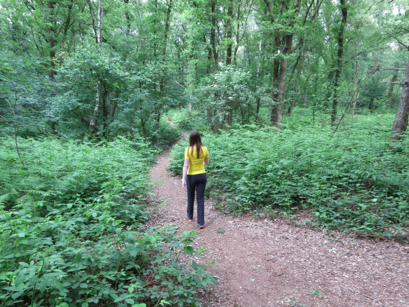 Birgeler Urwald