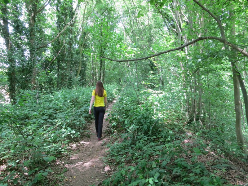 Birgeler Urwald