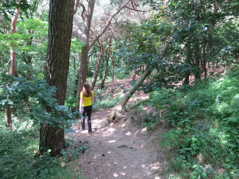 Birgeler Urwald