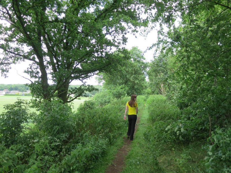 Birgeler Urwald