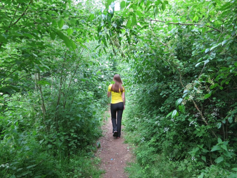 Birgeler Urwald