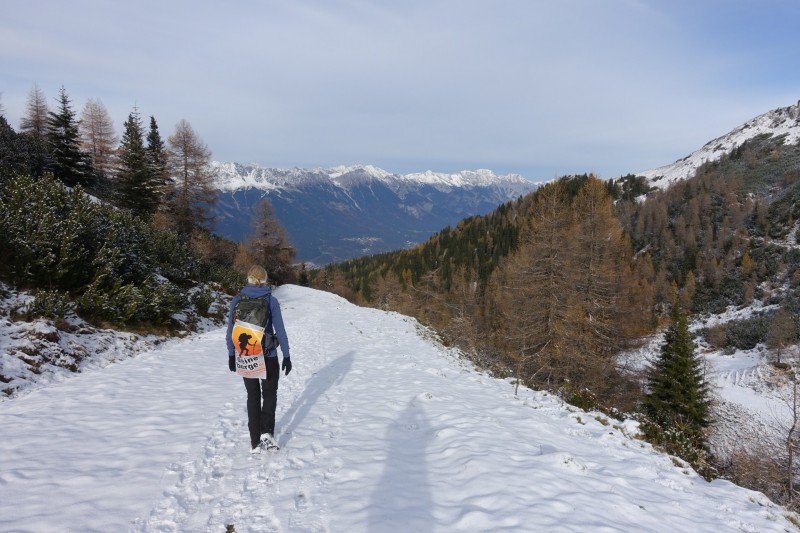 Birgitzkpflhtte - Nockspitze-Saile - Pfriemeswand