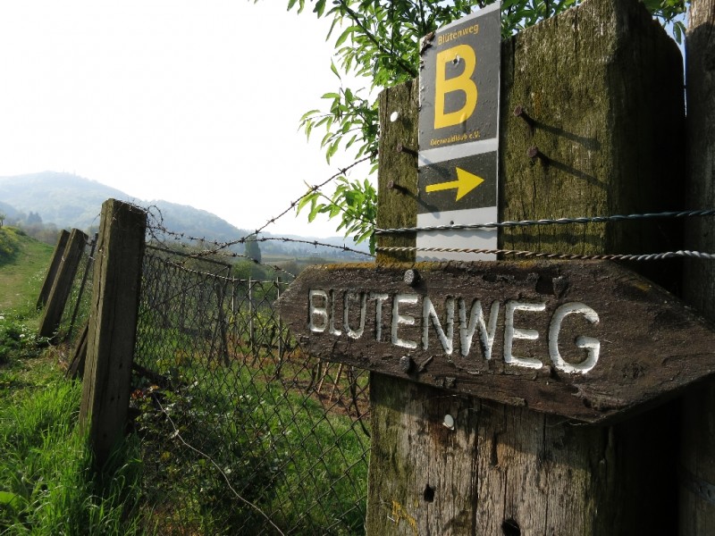 Bl�tenweg