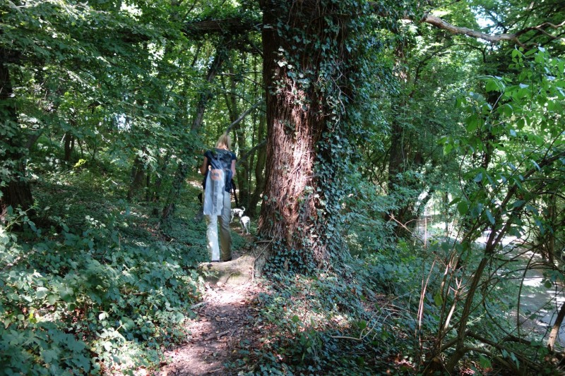 Breisiger L�ndchen - Premiumweg