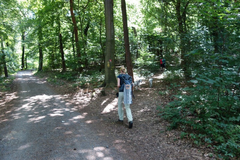 Breisiger L�ndchen - Premiumweg