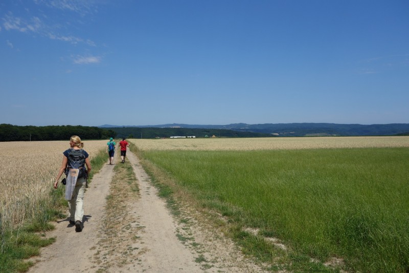 Breisiger L�ndchen - Premiumweg