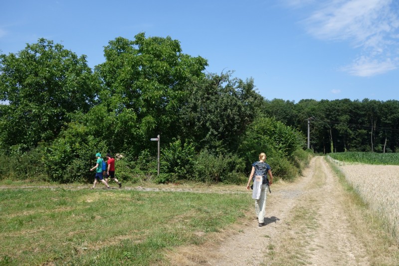 Breisiger L�ndchen - Premiumweg