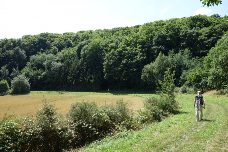 Breisiger L�ndchen - Premiumweg