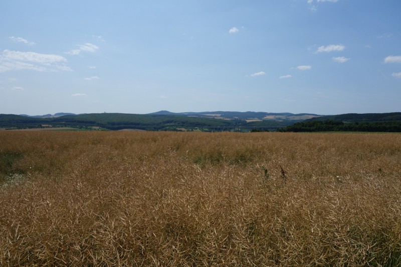 Breisiger L�ndchen - Premiumweg