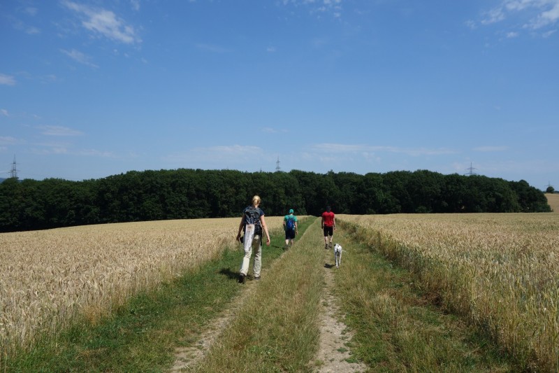 Breisiger L�ndchen - Premiumweg