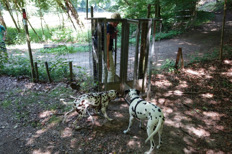 Breisiger L�ndchen - Premiumweg