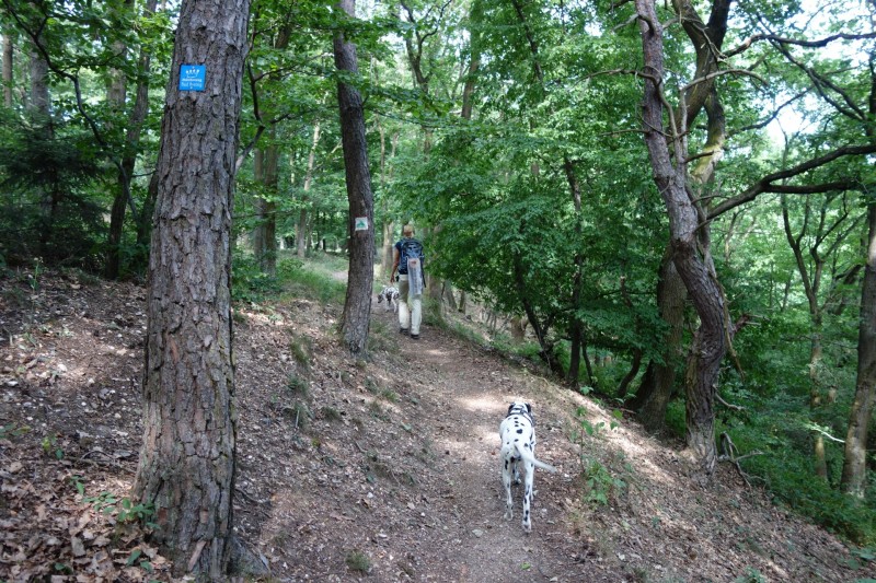 Breisiger L�ndchen - Premiumweg
