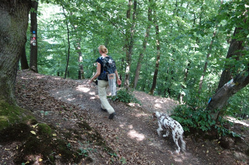 Breisiger L�ndchen - Premiumweg