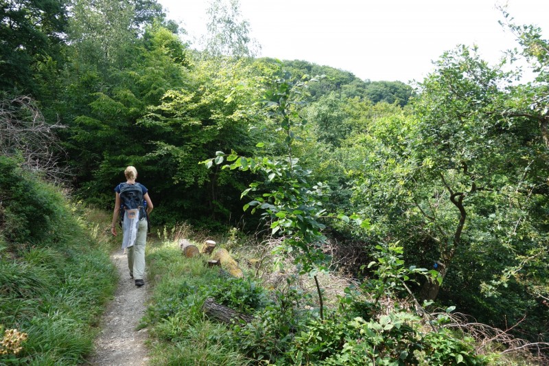 Breisiger L�ndchen - Premiumweg