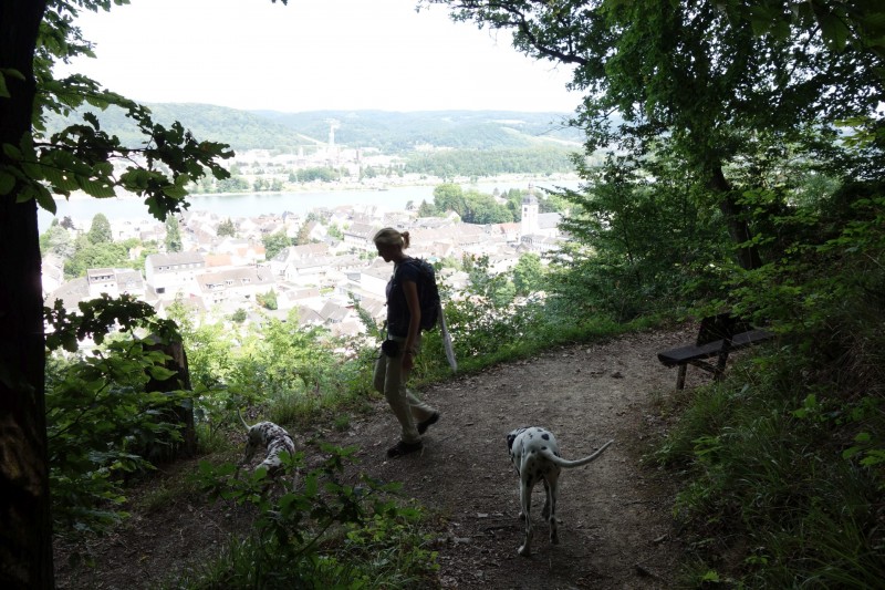 Breisiger L�ndchen - Premiumweg