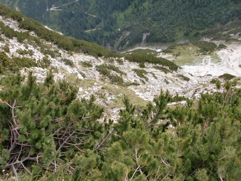 Brendelsteig - Birkkarspitze