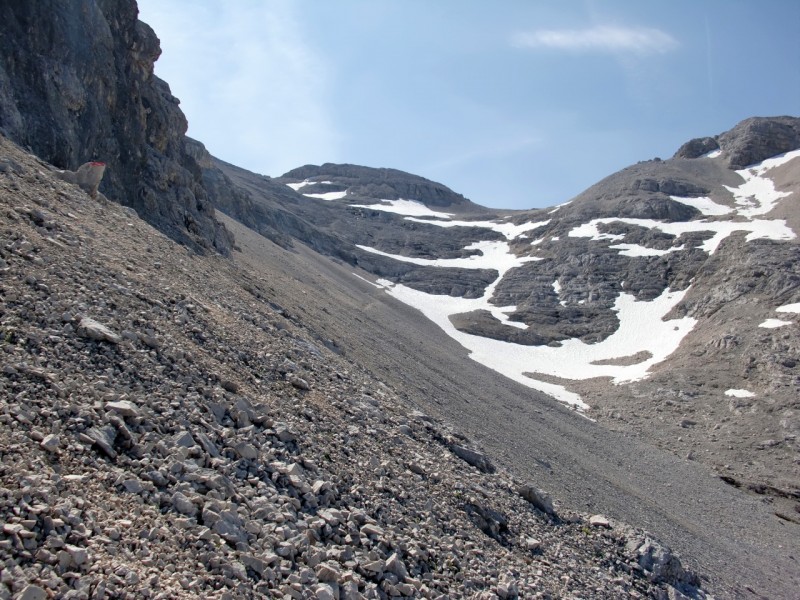 Brendelsteig - Birkkarspitze