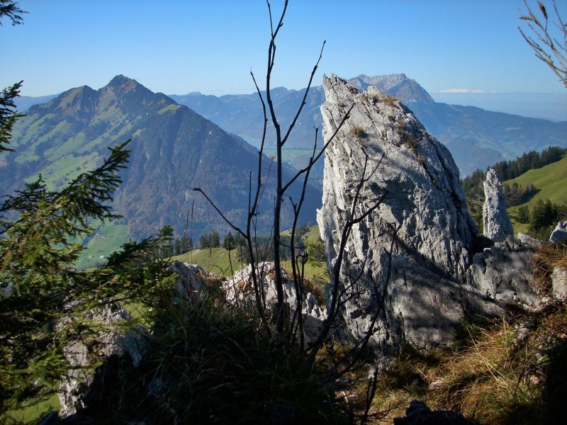 Buochserhorn