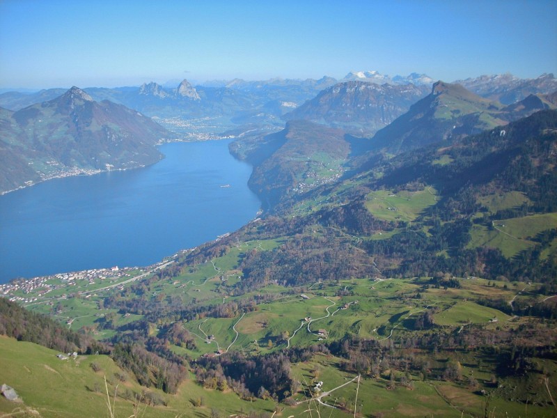 Buochserhorn