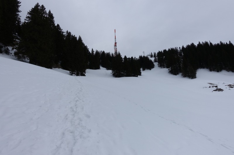 Burgberg - Gr�nten