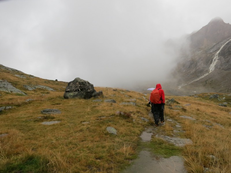 Butzenspitze (fast)