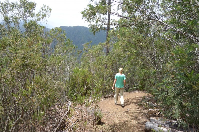 Cruz - Penha de Aguia - Gale - Cruz