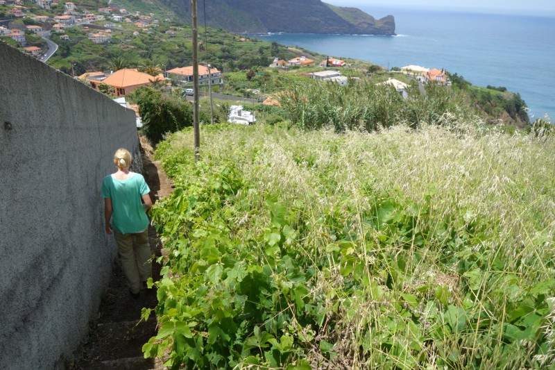 Cruz - Penha de Aguia - Gale - Cruz