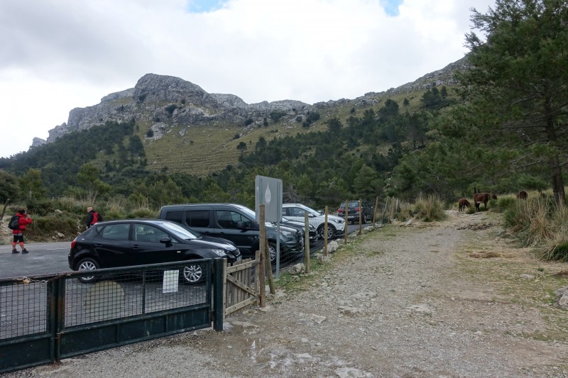 Cuber - Puig de l Ofre - Puig de na Franquesa - Puig de sa Rateta - Cuber