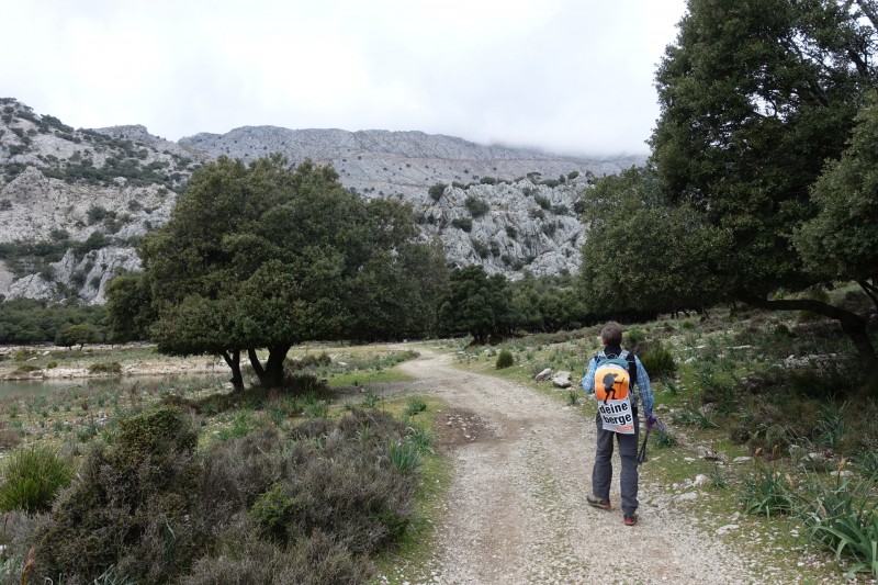 Cuber - Puig de l Ofre - Puig de na Franquesa - Puig de sa Rateta - Cuber