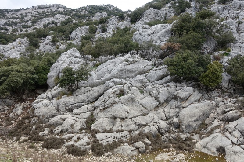 Cuber - Puig de l Ofre - Puig de na Franquesa - Puig de sa Rateta - Cuber
