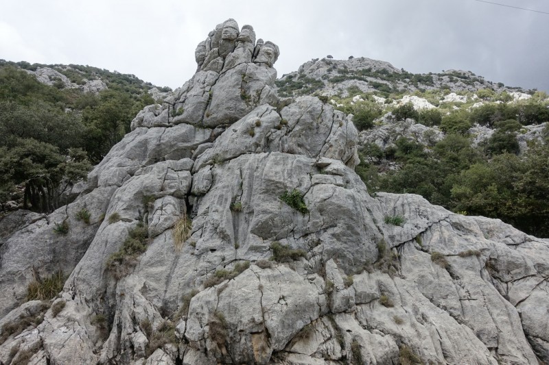 Cuber - Puig de l Ofre - Puig de na Franquesa - Puig de sa Rateta - Cuber
