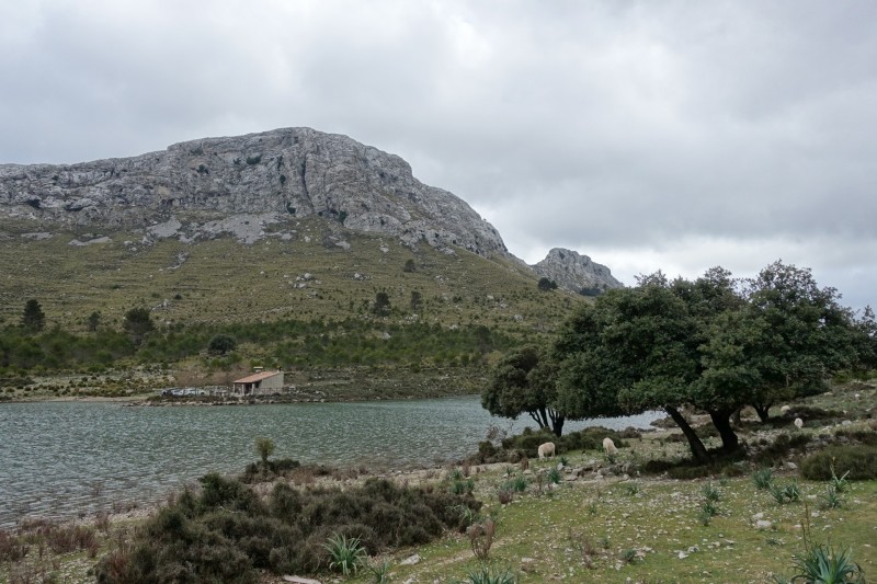 Cuber - Puig de l Ofre - Puig de na Franquesa - Puig de sa Rateta - Cuber