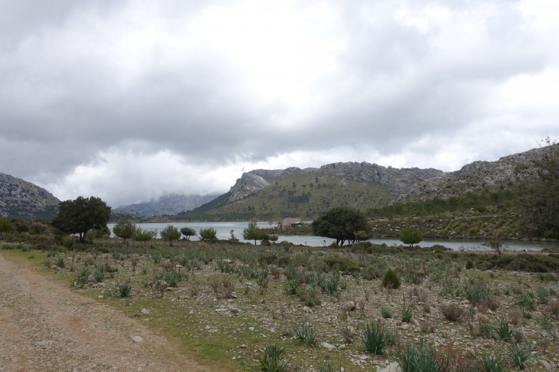 Cuber - Puig de l Ofre - Puig de na Franquesa - Puig de sa Rateta - Cuber