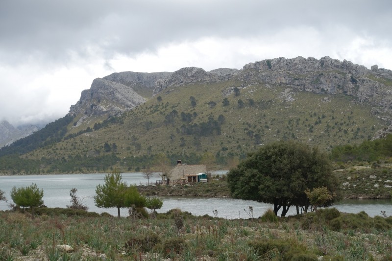Cuber - Puig de l Ofre - Puig de na Franquesa - Puig de sa Rateta - Cuber